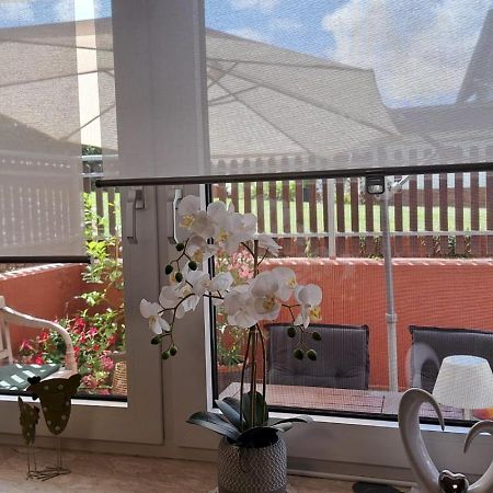 Ferienwohnung Am Reitersgaesschen Blankenrath エクステリア 写真