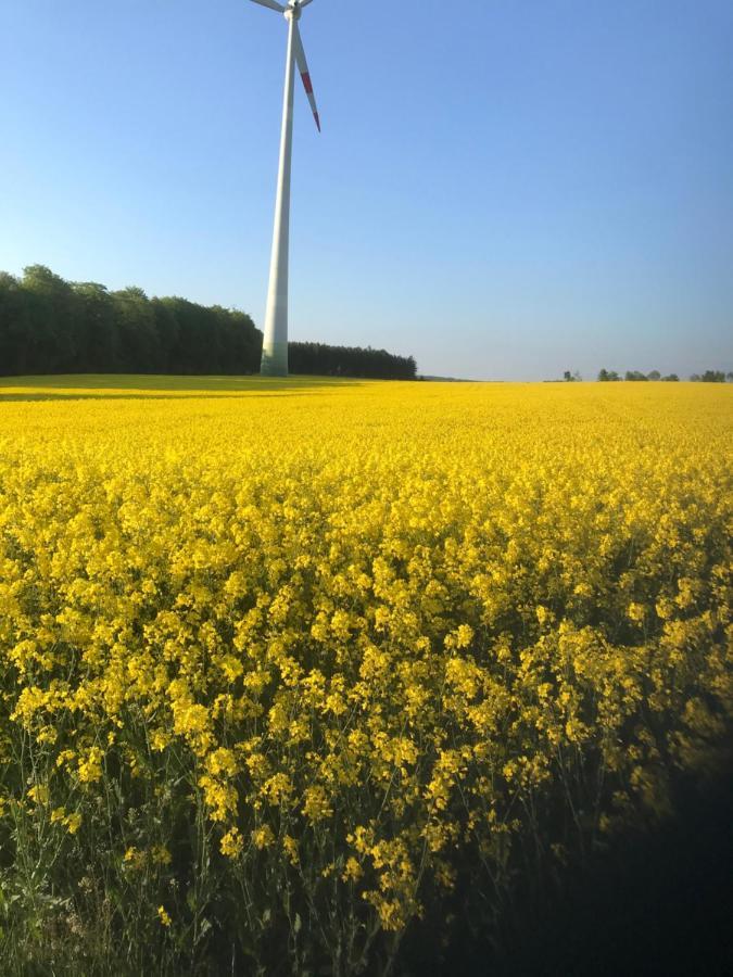 Ferienwohnung Am Reitersgaesschen Blankenrath エクステリア 写真