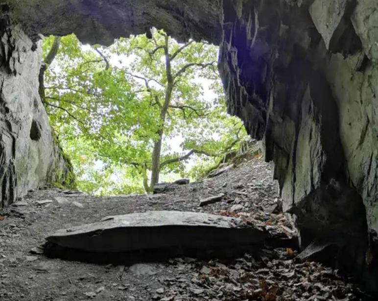 Ferienwohnung Am Reitersgaesschen Blankenrath エクステリア 写真